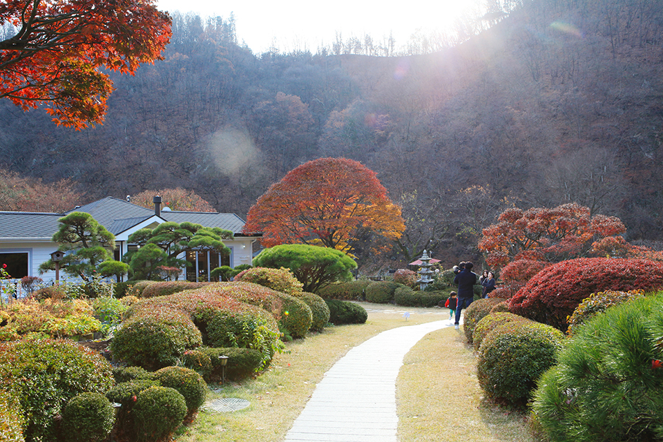 내추럴-가든529-2