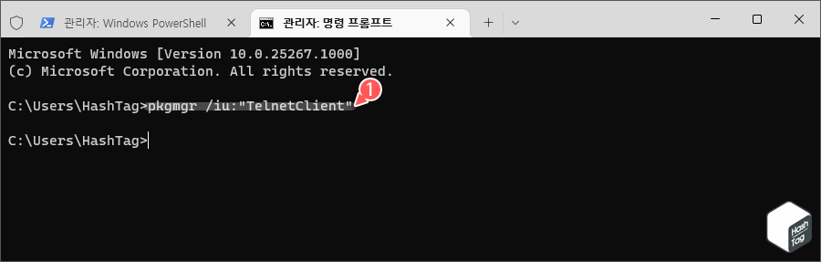 명령 프롬프트 '텔넷 클라이언트' 활성화