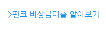 핀크 비상금대출