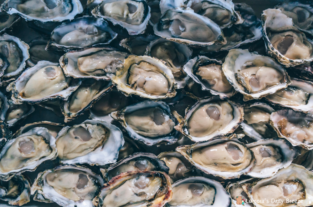 겨울, 봄철 노로바이러스 – 증상, 원인 음식, 예방법 총정리 : 노로바이러스 주의해야 할 음식