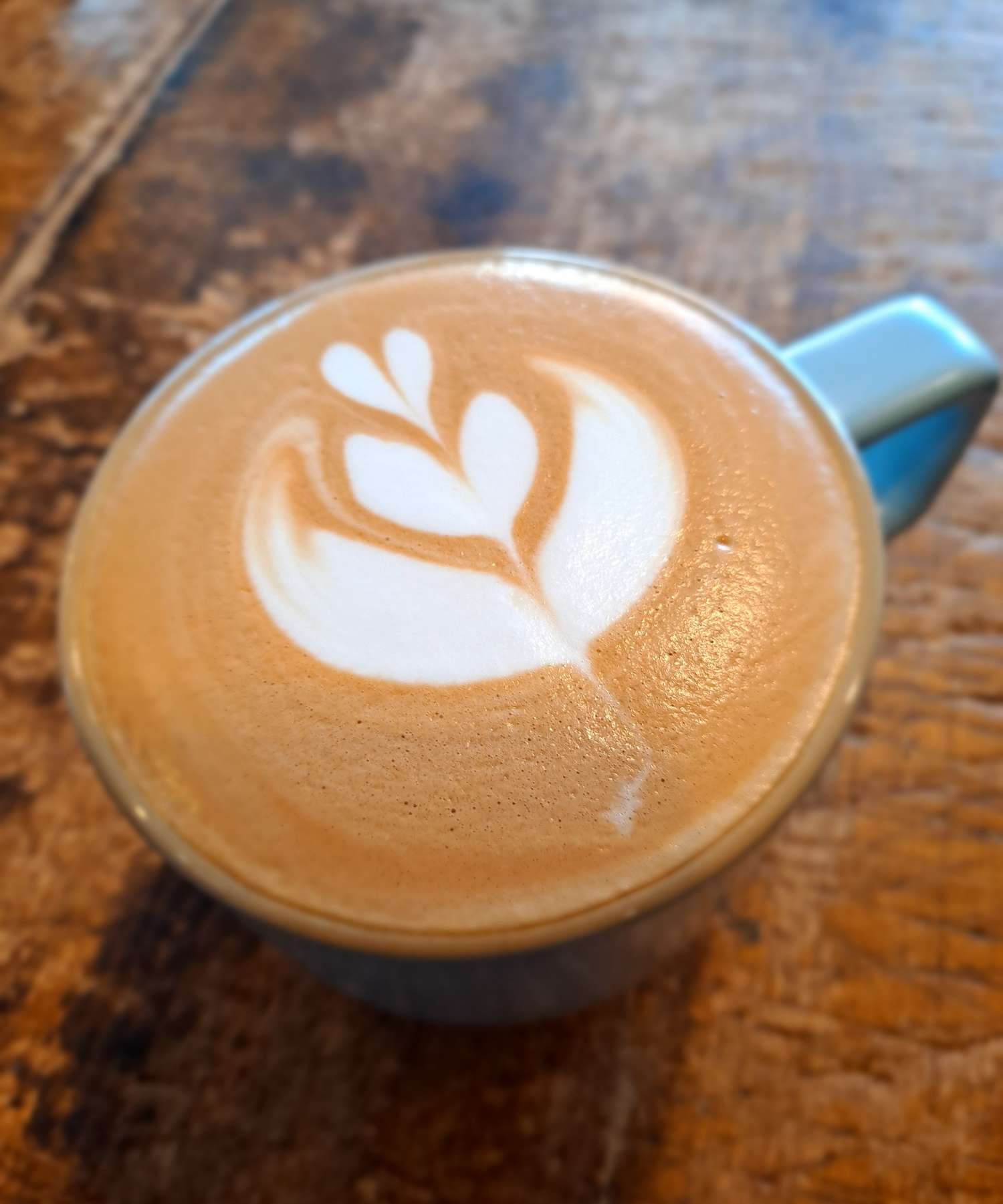 카페라떼 3단튤립