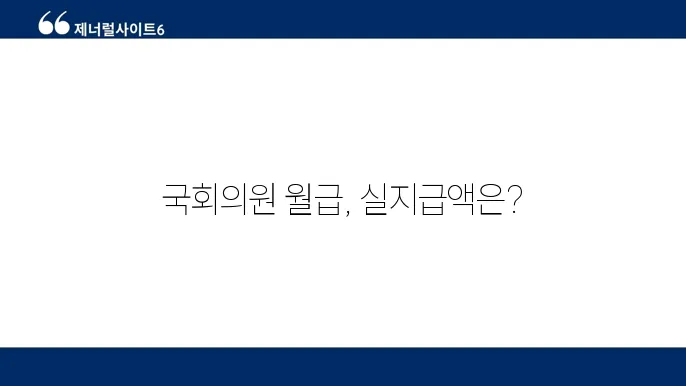 국회의원의 기타 보상 및 수당과 관련된 자료