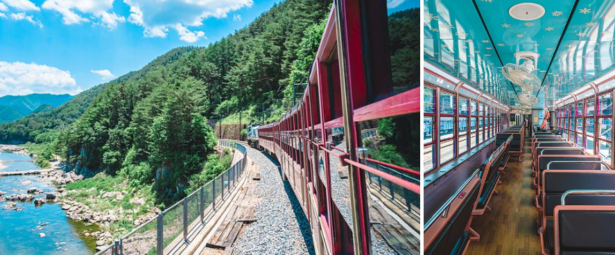 백두대간협곡열차(V-train)