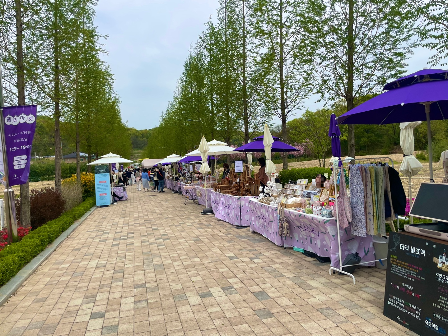 용인 자작나무숲 베툴라 대형 베이커피 카페