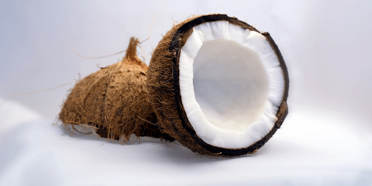 코코넛 사진 - 12