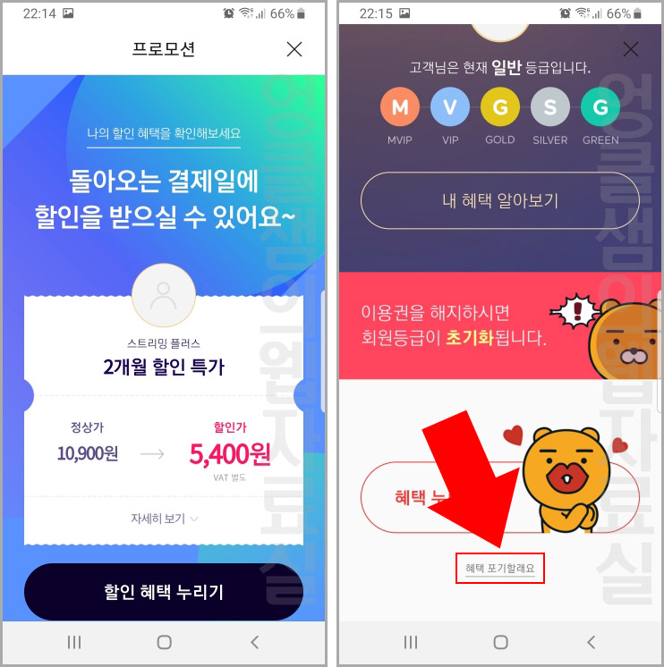 멜론 프로모션