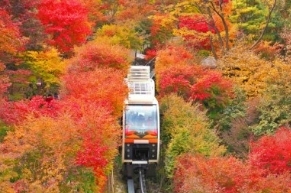 화담숲-모노레일