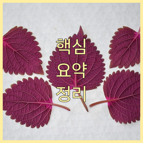 한국은행 부산 추석 대출: 중소기업 ..