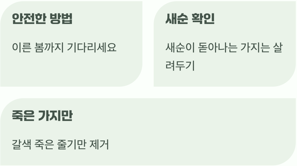 헷갈릴 때&amp;#44; 이것만은 기억하세요