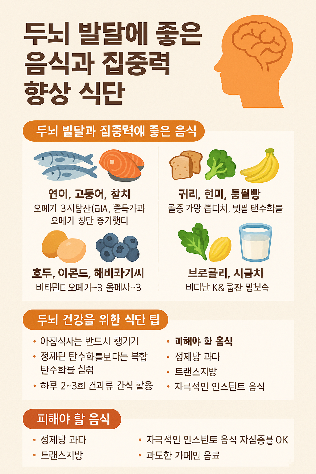 두뇌 발달에 좋은 음식과 집중력 향상 식단