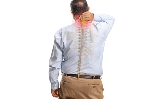 연골및 관절/출처:어도비스톡