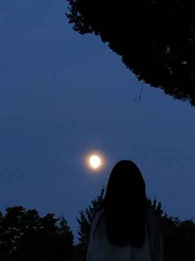밤하늘의 달을 쳐다보는 모습