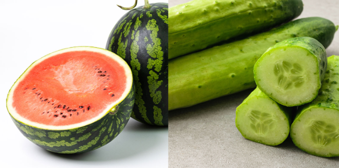 더위 먹었을때 도움이 되는 음식