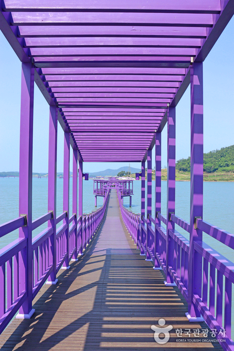 보라색 나무다리가 바다를 가로 질러 있다.