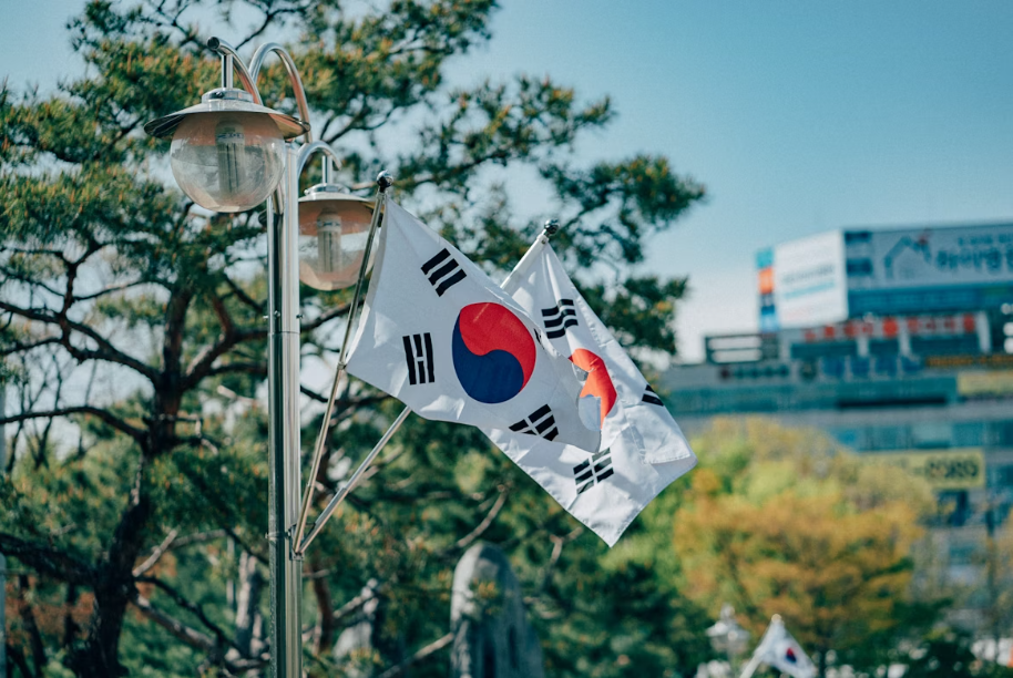 SK하이닉스의 CIS 시장 점유율, 블랙펄 브랜드 로고, 반도체 시너지 효과
