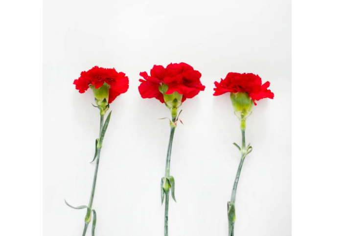 어버이날 공휴일