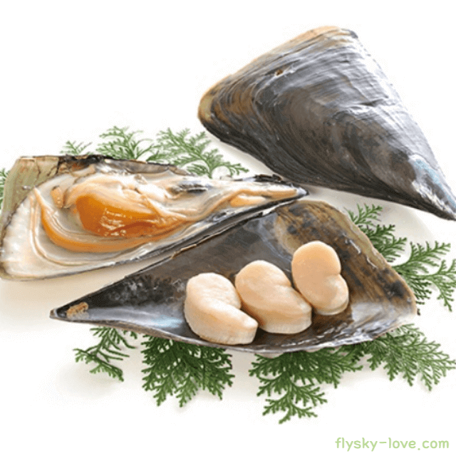 바다의 피로회복제 키조개