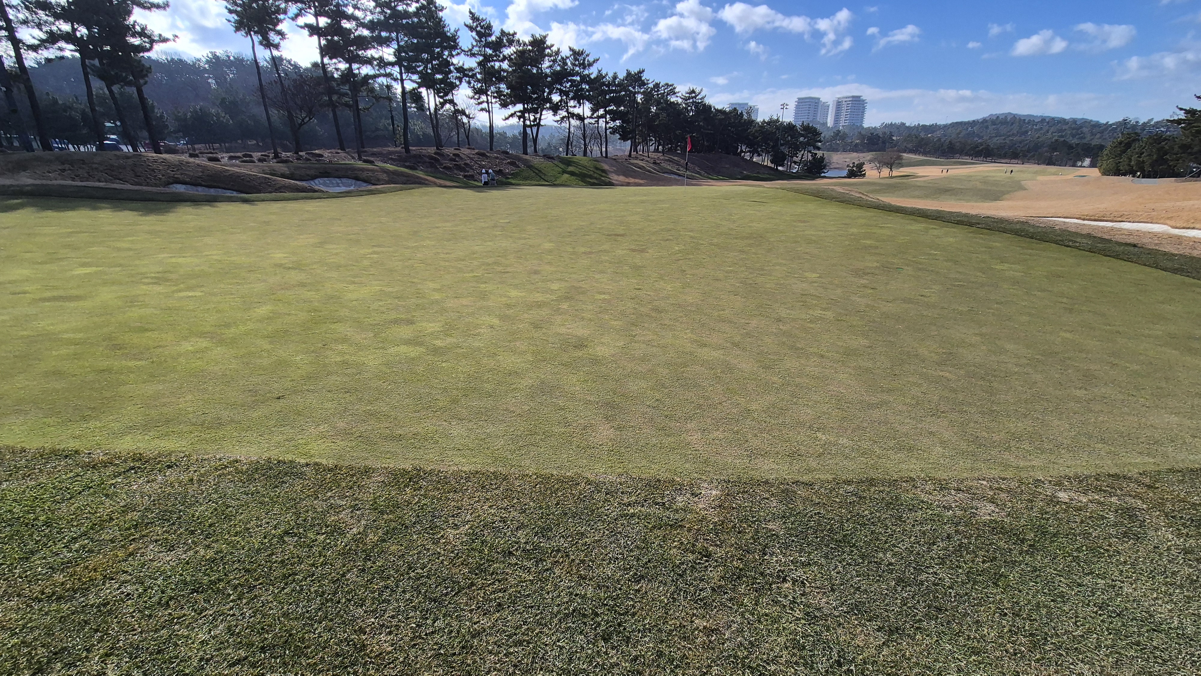 더헤븐cc 사우스-웨스트 코스 그린관리상태