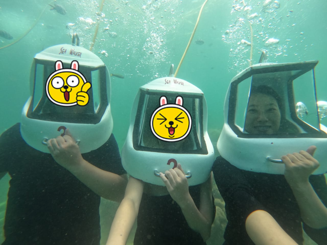 코타키나발루 씨워킹 사피섬 & 마누칸섬 투어 추천 예약 후기