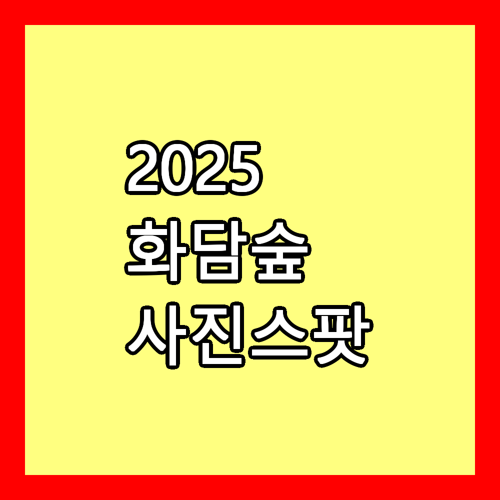 화담숲 사진스팟