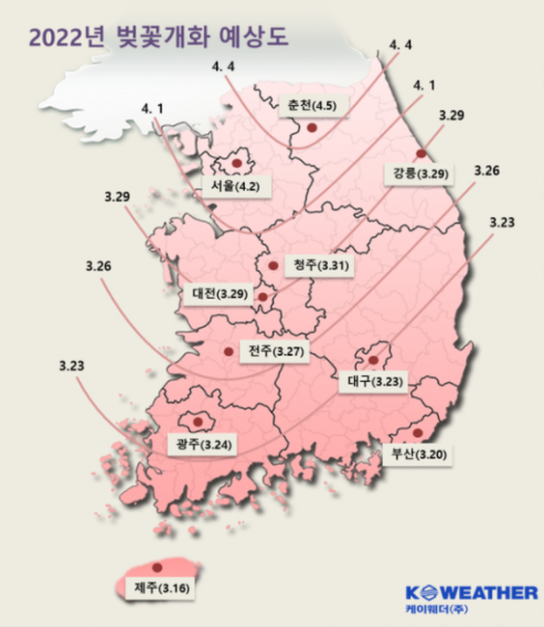 케이웨더 벚꽃 개화시점