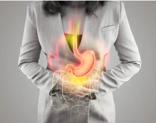 매스틱-효능-효과