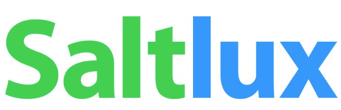 솔트룩스 CI