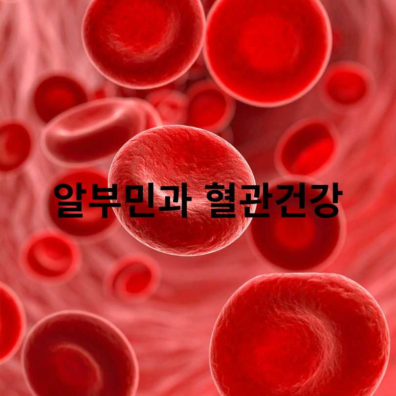 알부민 효능 총정리