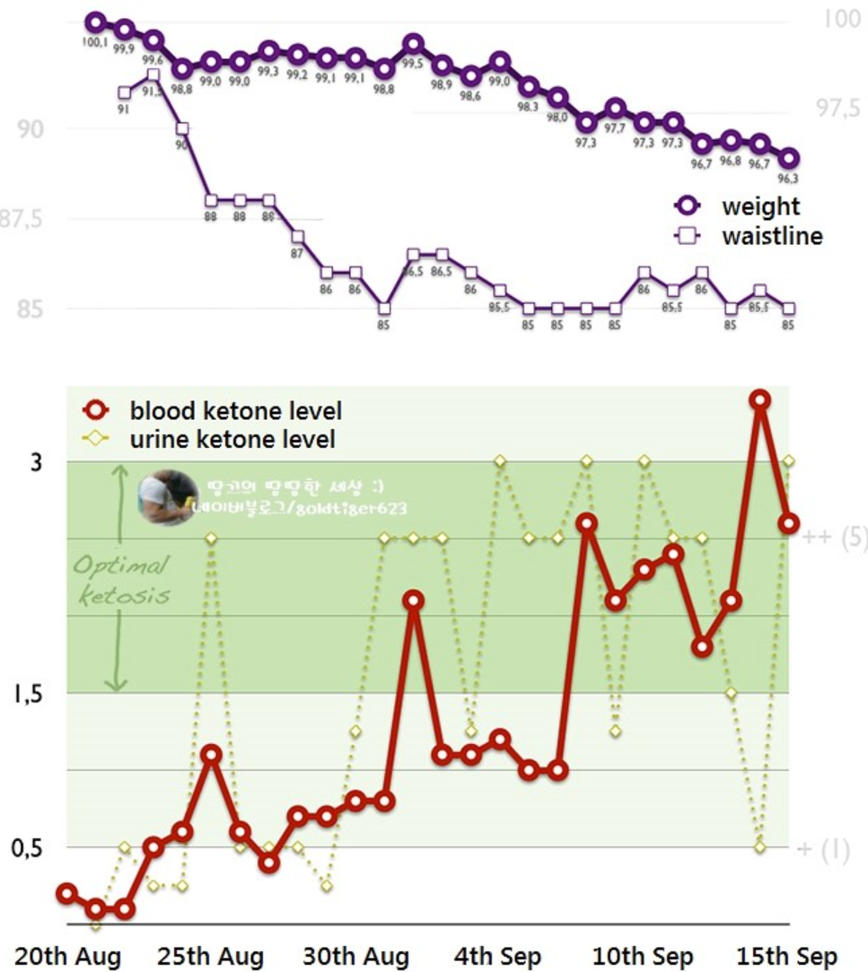 케톤체 농도를 나타내는 그래프