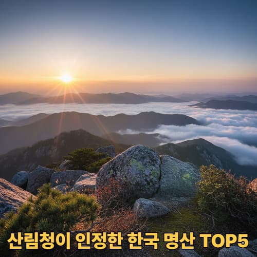외국인이 반한 서울 명산 추천과 정상석 인증샷 에티켓 완벽 안내