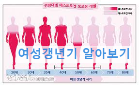 여성갱년기