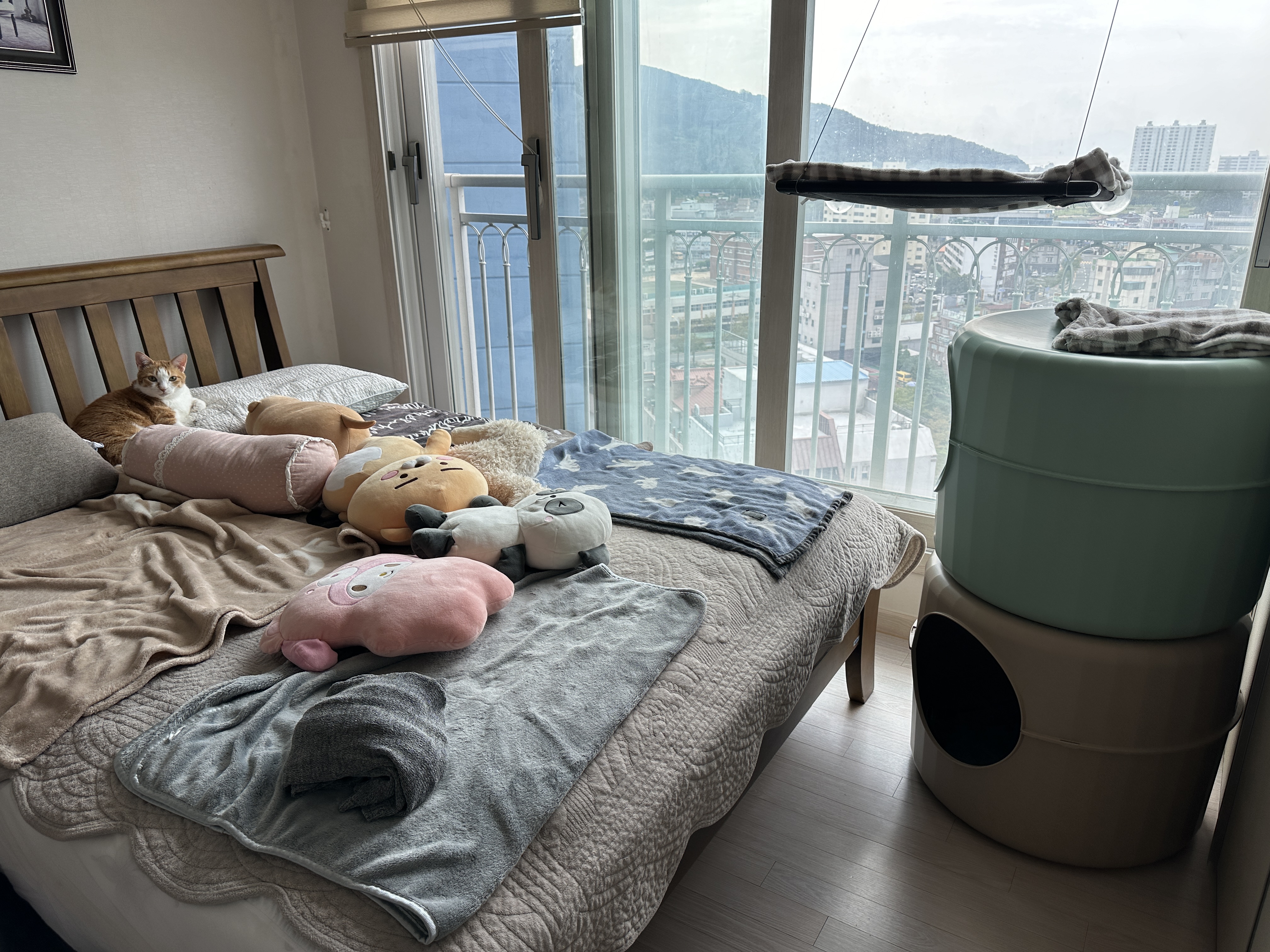 안방에_놓여진_2층_마카롱하우스와_침대_위에서_엄마를_쳐다보고_있는_호야