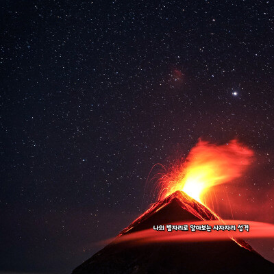 나의 별자리로 알아보는 사자자리 성격