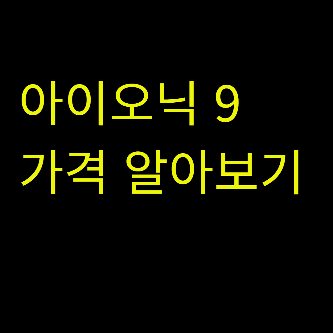 아이오닉 9 가격
