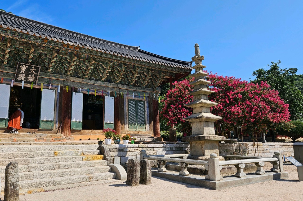 선운사(전북 고창) 이미지