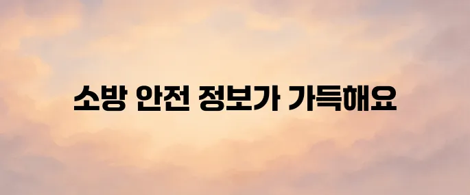 한국소방안전원 홈페이지 (https://www.kfsi.or.kr)