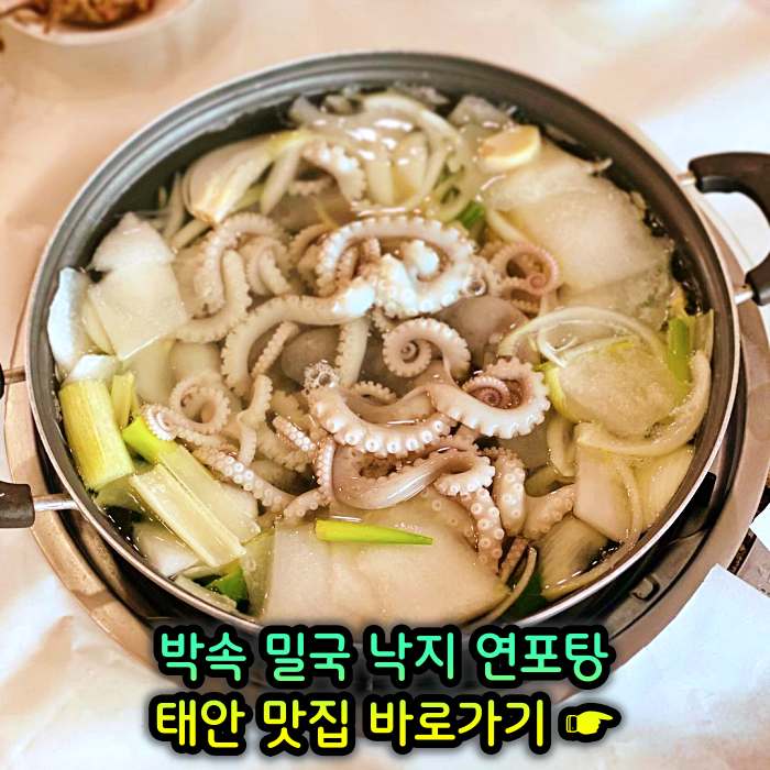 생방송 투데이 충남 태안 낙지 한상 박속밀국낙지탕 맛집