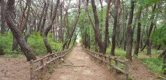 걷기좋은 숲길 50 서울 전남 경북_5