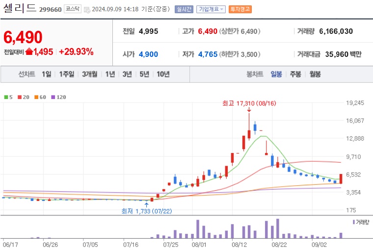 셀리드 주가 (0909)