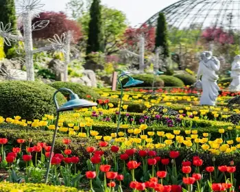 퍼스트가든 봄꽃축제 블루밍가든_7