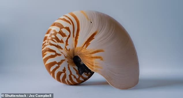 튀지 않는 소변기 Scientists develop the ultimate URINAL with...