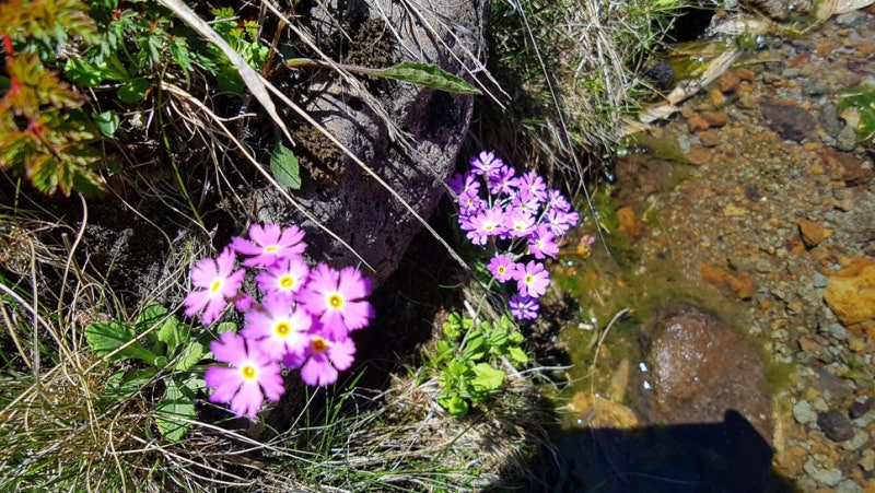 2025 한라산 백록샘