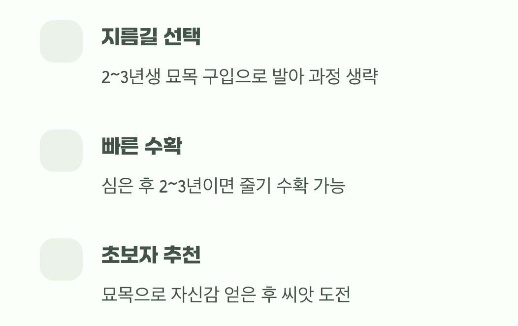 묘목으로 시작하는 지름길