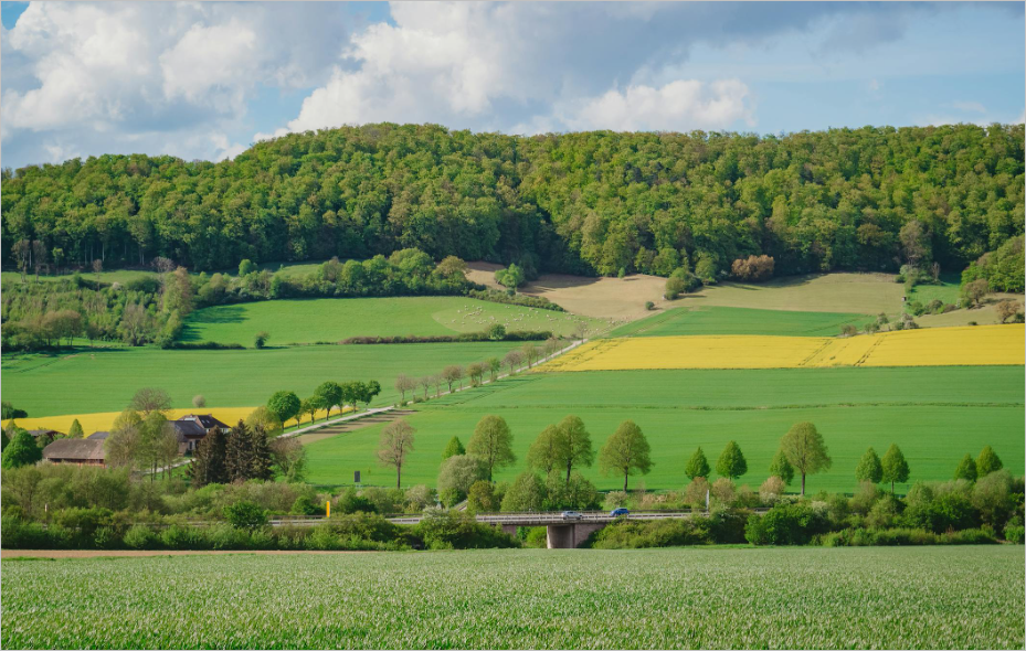 토지대장 무료열람 5분만에 확인하는 방법 총정리(feat. 정부 24)