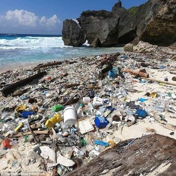 바닷가에-쓰레기가-밀려와-사방이-더러운-모습