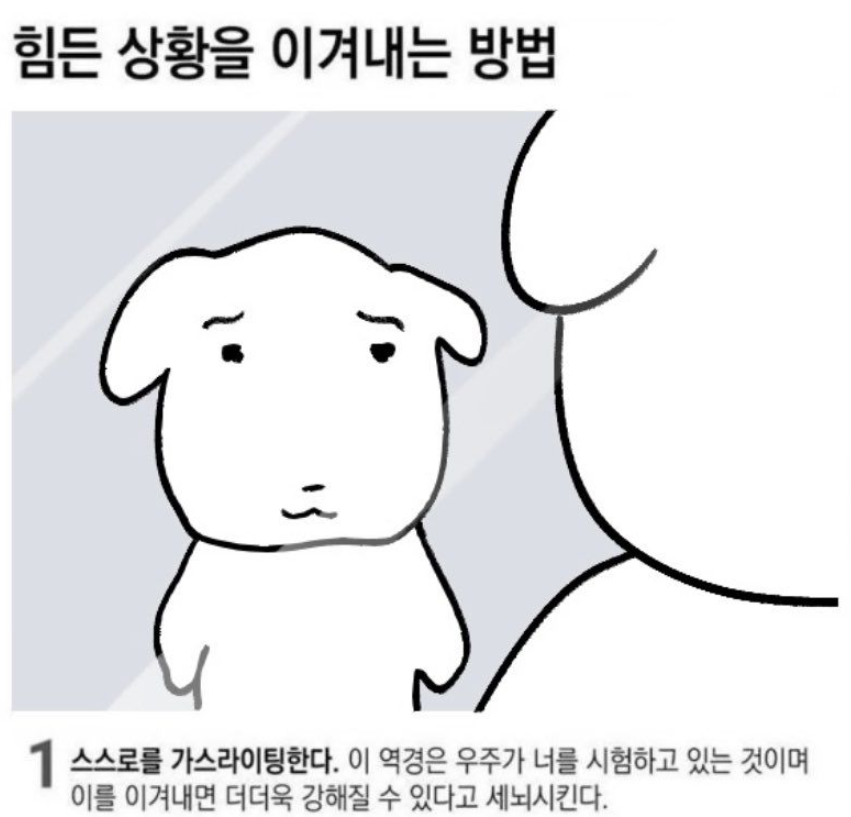 자기효능감