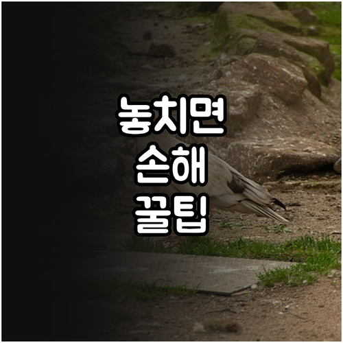 시흥 한마음관 2025년 이용 감면 ..