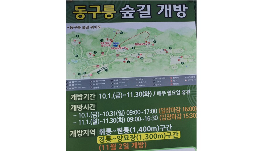 임시개방한-원릉에서-휘릉으로가는-숲길