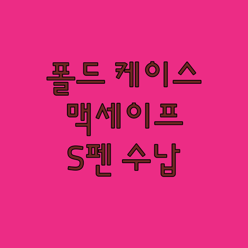 갤럭시 Z 폴드 케이스 추천! 맥세이..