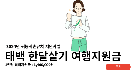 한달살기 여행지원금